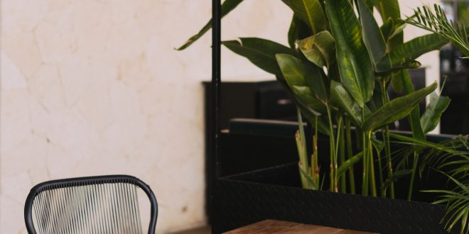 kiralik kokteyl masasi 2