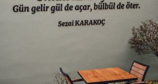 sezai karakoc poems and quotes