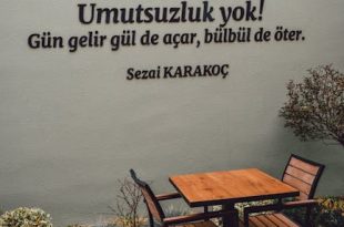 sezai karakoc poems and quotes